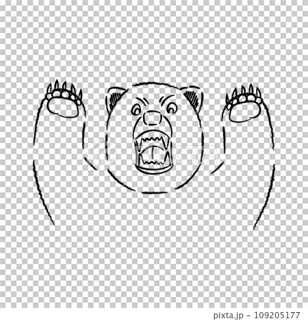 Realistic bear illustration 07 109205177