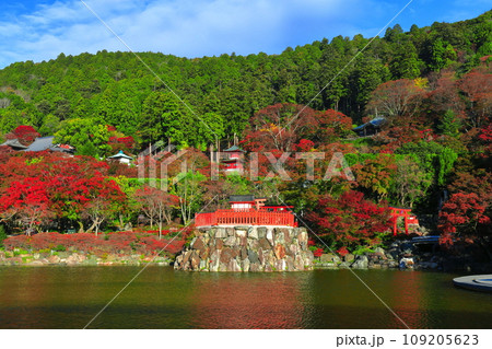 【大阪府】晴天の勝尾寺の弁天堂と紅葉 【大阪府】晴天の勝尾寺の弁天堂と紅葉 109205623