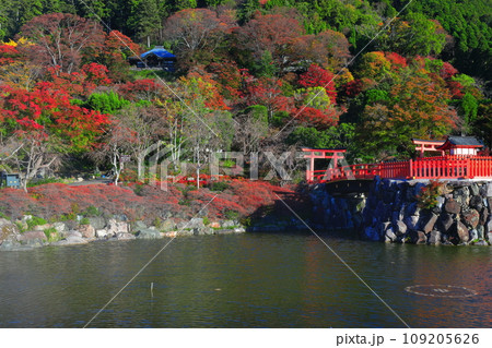 【大阪府】晴天の勝尾寺の弁天堂と紅葉 【大阪府】晴天の勝尾寺の弁天堂と紅葉 109205626