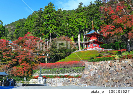 【大阪府】晴天の勝尾寺の多宝塔と紅葉 【大阪府】晴天の勝尾寺の多宝塔と紅葉 109205627