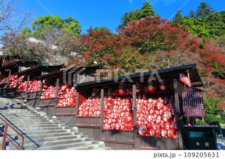 【大阪府】晴天の勝尾寺の勝ちダルマ納め所と紅葉 109205631