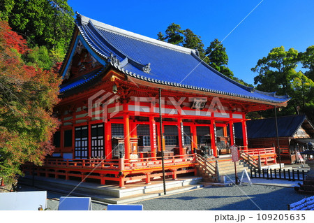 【大阪府】晴天の勝尾寺の本堂と紅葉 【大阪府】晴天の勝尾寺の本堂と紅葉 109205635