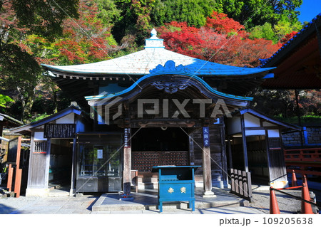 【大阪府】晴天の勝尾寺の大師堂と紅葉 【大阪府】晴天の勝尾寺の大師堂と紅葉 109205638