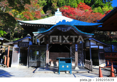 【大阪府】晴天の勝尾寺の大師堂と紅葉 【大阪府】晴天の勝尾寺の大師堂と紅葉 109205639