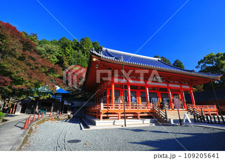 【大阪府】晴天の勝尾寺の本堂と大師堂と紅葉 【大阪府】晴天の勝尾寺の本堂と大師堂と紅葉 109205641