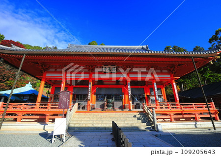 【大阪府】晴天の勝尾寺の本堂と大師堂と紅葉 【大阪府】晴天の勝尾寺の本堂と大師堂と紅葉 109205643