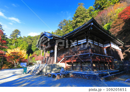 【大阪府】晴天の勝尾寺の二階堂と紅葉 【大阪府】晴天の勝尾寺の二階堂と紅葉 109205651