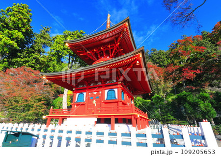 【大阪府】晴天の勝尾寺の多宝塔と紅葉 【大阪府】晴天の勝尾寺の多宝塔と紅葉 109205653