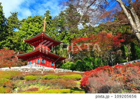【大阪府】晴天の勝尾寺の多宝塔と紅葉 【大阪府】晴天の勝尾寺の多宝塔と紅葉 109205656