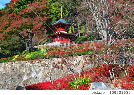 【大阪府】晴天の勝尾寺の多宝塔と紅葉 【大阪府】晴天の勝尾寺の多宝塔と紅葉 109205659