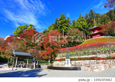 【大阪府】晴天の勝尾寺の多宝塔と紅葉 【大阪府】晴天の勝尾寺の多宝塔と紅葉 109205662