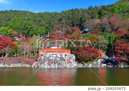【大阪府】晴天の勝尾寺の弁天堂と紅葉 109205675