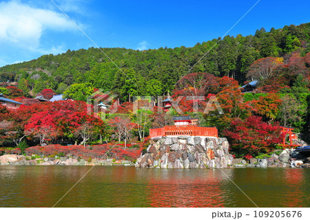 【大阪府】晴天の勝尾寺の弁天堂と紅葉 【大阪府】晴天の勝尾寺の弁天堂と紅葉 109205676