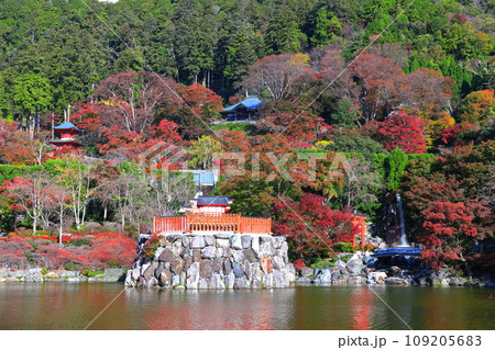 【大阪府】晴天の勝尾寺の弁天堂と紅葉 109205683