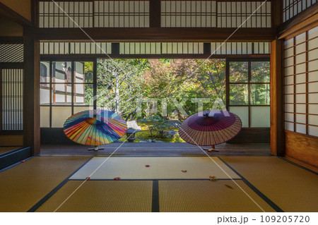 秋の京都　毘沙門堂勝林寺　本堂から見る庭園 109205720