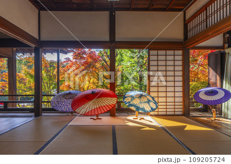 秋の京都 毘沙門堂勝林寺 本堂から見る紅葉した庭園 秋の京都 毘沙門堂勝林寺 本堂から見る紅葉した庭園 109205724