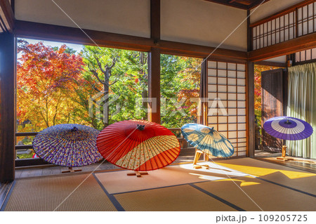 秋の京都　毘沙門堂勝林寺　本堂から見る紅葉した庭園 109205725