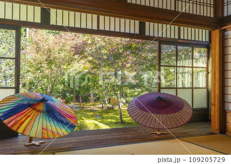 秋の京都　毘沙門堂勝林寺　本堂から見る美しい庭園 109205729