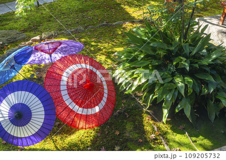 秋の京都　毘沙門堂勝林寺　美しい境内 109205732