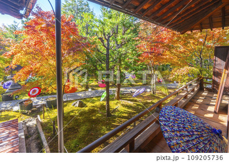 秋の京都 毘沙門堂勝林寺 美しい紅葉の境内 秋の京都 毘沙門堂勝林寺 美しい紅葉の境内 109205736