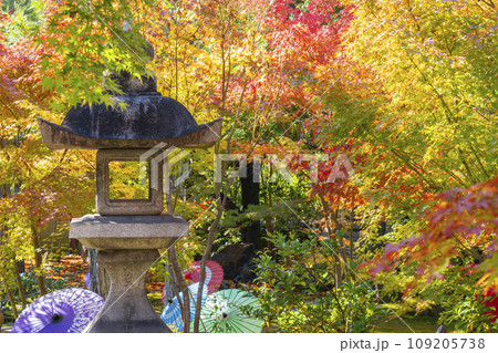 秋の京都　毘沙門堂勝林寺　美しい紅葉の境内 109205738