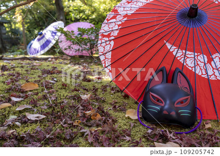 秋の京都　毘沙門堂勝林寺　美しい紅葉の境内 109205742