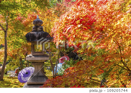 秋の京都 毘沙門堂勝林寺 美しい紅葉の境内 秋の京都 毘沙門堂勝林寺 美しい紅葉の境内 109205744