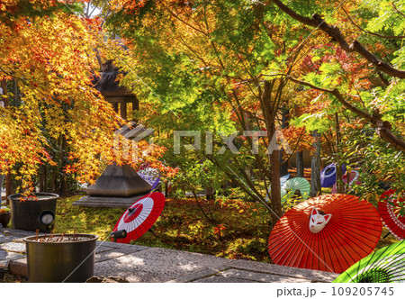 秋の京都　毘沙門堂勝林寺　美しい紅葉の境内 109205745