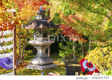 秋の京都 毘沙門堂勝林寺 美しい紅葉の境内 秋の京都 毘沙門堂勝林寺 美しい紅葉の境内 109205747
