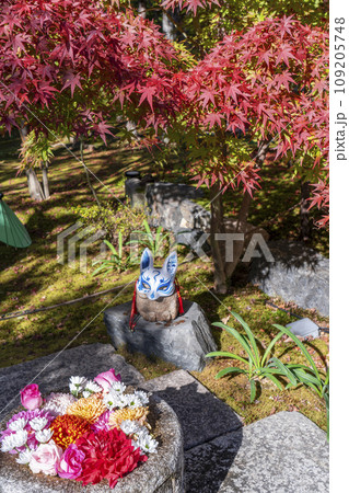 秋の京都　毘沙門堂勝林寺　美しい紅葉の境内 109205748
