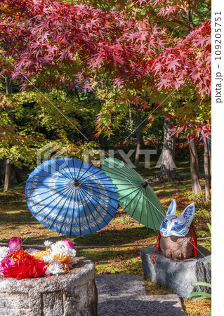 秋の京都　毘沙門堂勝林寺　美しい紅葉の境内 109205751