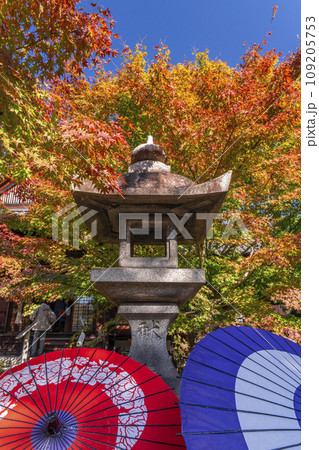 秋の京都 毘沙門堂勝林寺 美しい紅葉の境内 秋の京都 毘沙門堂勝林寺 美しい紅葉の境内 109205753