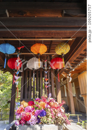 秋の京都 毘沙門堂勝林寺 花手水 秋の京都 毘沙門堂勝林寺 花手水 109205757