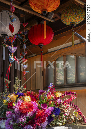 秋の京都　毘沙門堂勝林寺　花手水 109205759