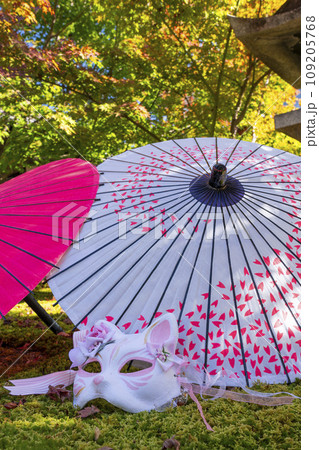 秋の京都 毘沙門堂勝林寺 美しい紅葉の境内 秋の京都 毘沙門堂勝林寺 美しい紅葉の境内 109205768