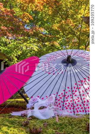 秋の京都 毘沙門堂勝林寺 美しい紅葉の境内 秋の京都 毘沙門堂勝林寺 美しい紅葉の境内 109205770