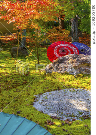 秋の京都　毘沙門堂勝林寺　美しい紅葉の境内 109205780