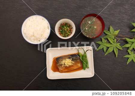 鯖の味噌煮 109205848