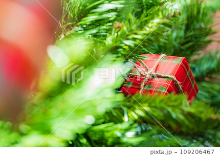 クリスマス・冬 イメージ 109206467