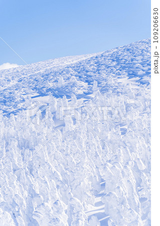 青空と蔵王の樹氷　スノーモンスター　山形県山形市 109206630