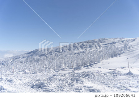 青空と蔵王の樹氷　スノーモンスター　山形県山形市 109206643
