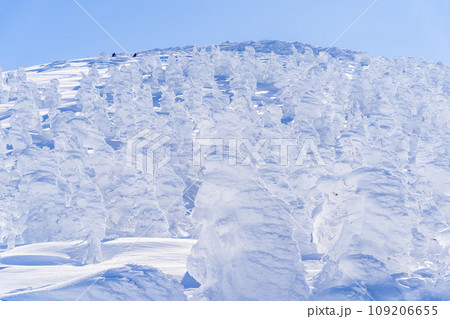 青空と蔵王の樹氷 スノーモンスター 山形県山形市 青空と蔵王の樹氷 スノーモンスター 山形県山形市 109206655