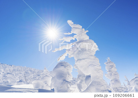 青空と蔵王の樹氷 スノーモンスター 山形県山形市 青空と蔵王の樹氷 スノーモンスター 山形県山形市 109206661