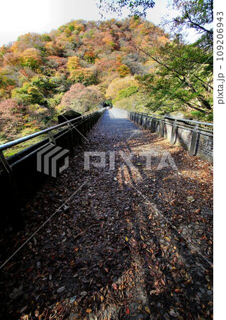 碓氷川に架かる煉瓦造りの美しい4連アーチ橋… 碓氷峠の『めがね橋』【旧線・碓氷第三橋梁】 碓氷川に架かる煉瓦造りの美しい4連アーチ橋… 碓氷峠の『めがね橋』【旧線・碓氷第三橋梁】 109206943
