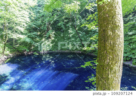 白神山地の青池　青森県深浦町 109207124