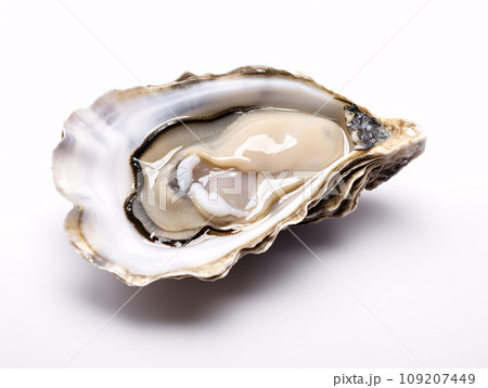 生牡蠣-2 生牡蠣-2 109207449