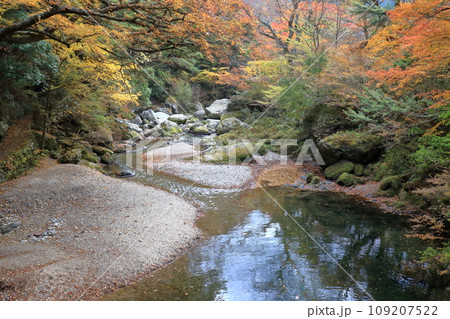 小田深山渓谷　渓谷美　(愛媛県　内子町） 109207522