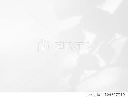 Shadow Background Effect Mockup Black Frame Leaves Wall Light White Overlay Plant Abstract Backdrop Sunlight Sun Mockup Minimal Summer Tropic Tree Floor 3d Bg Nature Room Grey Exterior Surface Frame. 109207759