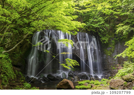 新緑の達沢不動滝　福島県猪苗代町 109207799