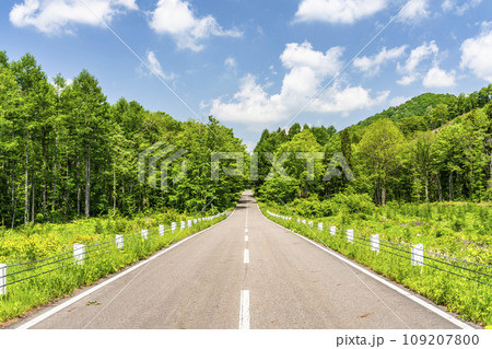 初夏の磐梯吾妻レークライン　青空と直線道路　福島県猪苗代町 109207800
